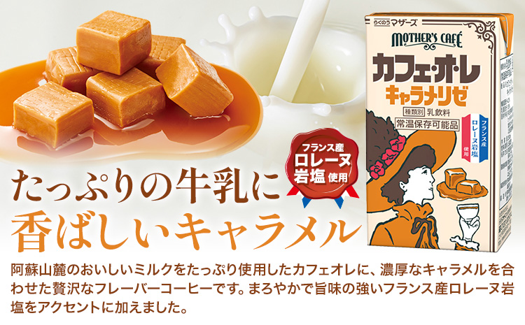 常温保存可能 カフェオレ キャラメリゼ 250ml×24本 1ケース 合同会社たべたせいか《30日以内に出荷予定(土日祝除く)》熊本県 菊池市 コーヒー牛乳 カフェ・オ・レ キャラメル 乳飲料 乳性飲料 らくのうマザーズ ドリンク 飲み物 飲料 セット 紙パック---016-1518---