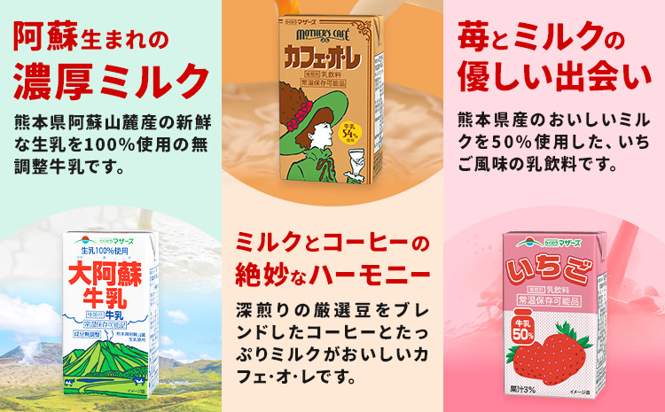 常温保存可能 らくのうマザーズ 詰め合わせ セット 大阿蘇牛乳＆ミルクバニラ 200ml×12本ずつ 計24本 合同会社たべたせいか《30日以内に出荷予定(土日祝除く)》熊本県 菊池市 大阿蘇牛乳 おいしいミルクバニラ 乳飲料 乳性飲料 らくのうマザーズ ドリンク---016-2618---