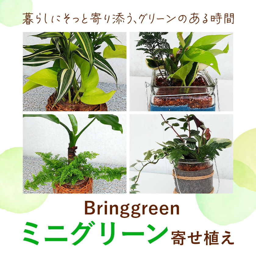 ミニグリーン 寄せ植え bring green Fleurbranch 《90日以内に出荷予定(土日祝除く)》熊本県 菊池市 観葉植物 植物 インテリア ガーデン 雑貨 エコ素材 贈物 プレゼント---020-2171---