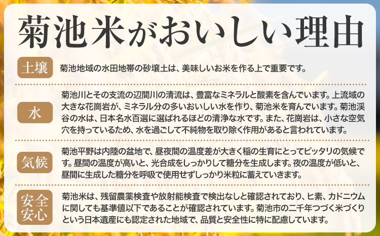 米 ヒノヒカリ 5分づき 5kg 内容量 1袋 5kg 合同会社くまもとごはん 《30日以内に出荷予定(土日祝除く)》 熊本県 菊池市 お米 分づき米 九州産 熊本県産 白米 無洗米 ひのひかり 送料無料---026-0522---