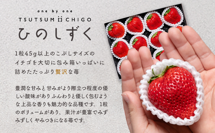 贅沢イチゴ ひのしずく 約45g×12玉 いちご イチゴ 苺《2026年2月発送予定》ヴァリアス株式会社 果物 くだもの フルーツ 希少 ギフト プレゼント 贈り物 国産 九州産 熊本県 菊池市 送料無料---028-0003---