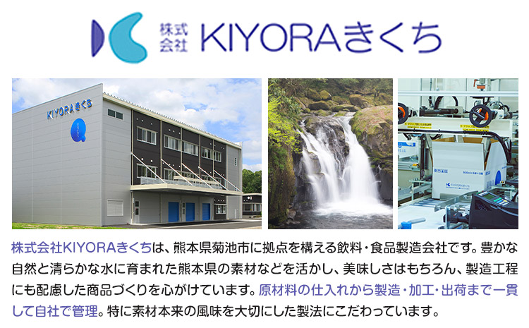 THE KIKUCHI WATER 500ml×30本 定期便 12回 水 飲料水 ミネラルウォーター シリカ 飲料《お申し込み月の翌月から出荷開始》天然水 飲料水 ミネラルウォーター シリカ含有 アルミパウチ パウチ 国産 九州産 熊本県産 菊池市産 送料無料---037-0903---