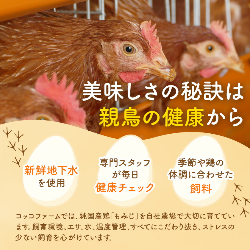 コッコファームのたまご 40個 コッコファーム《90日以内に出荷予定(土日祝除く)》熊本県 菊池市 卵 鶏卵 玉子 たまご 家庭用 熊本県産 九州産 冷蔵 送料無料---043-2444---
