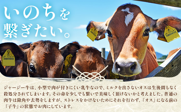 菊池市産 仔牛肉詰め合わせ 合計約600g セット 宮川ファーム《90日以内に出荷予定(土日祝除く)》 部位おまかせ ランダム お肉 牛肉 ジャージー仔牛肉 国産 熊本県産 九州産 冷凍 送料無料---048-2024---