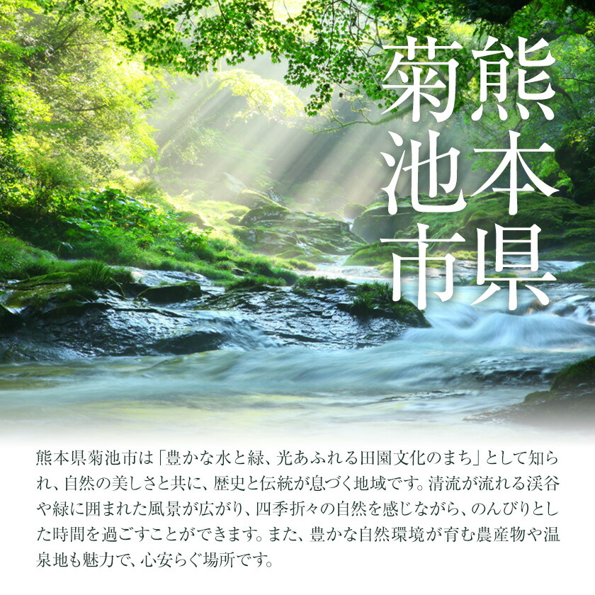 卵 にんにくたまご 内容量 30個 株式会社つづき《90日以内に出荷予定(土日祝除く)》熊本県 菊池市 卵 たまご にんにく卵 鶏卵 熊本県産 九州産 冷蔵 送料無料---064-2486---