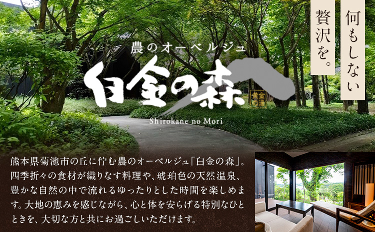 白金温泉 黄金の湯 入浴券 5枚 株式会社白金の森《30日以内に出荷予定(土日祝除く)》熊本県 菊池市 チケット 温泉 天然温泉 旅行 送料無料---075-0510---