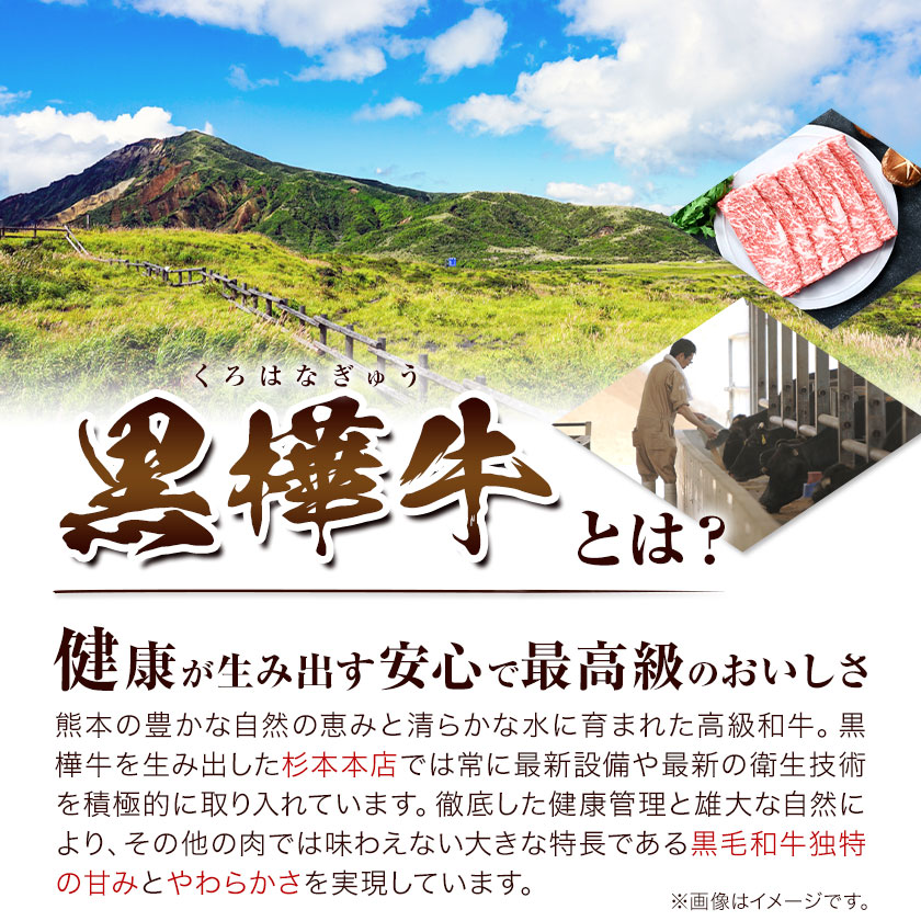 牛肉 くまもと黒毛和牛 黒樺牛 A4-A5等級 ロースステーキ(1枚200g) 計400g 杉本本店《90日以内に出荷予定(土日祝除く)》ステーキ 和牛 お肉 黒毛和牛 国産 九州産 熊本県産 冷凍 送料無料---090-1852-R---