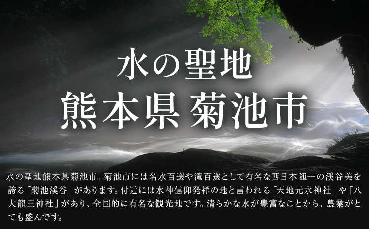 菊池市への寄附(返礼品はありません) 熊本県 菊池市 返礼品なし 10,000円--- 094-0616---