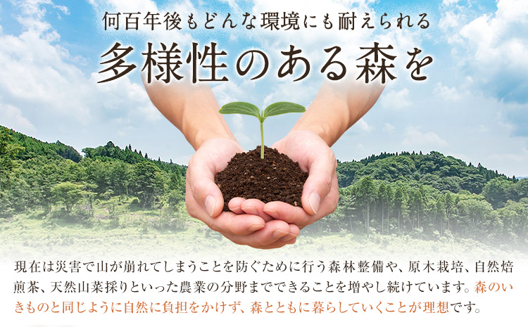 原木椎茸堪能セット 肉厚原木生椎茸 500g しいたけのデュクセル 2本 オリーブオイルマリネ 1本 合同会社 原田山業《90日以内に出荷予定(土日祝除く)》熊本県 菊池市 椎茸 しいたけ きのこ 肉厚 デュクセル オリーブオイル マリネ 瓶詰め セット 詰め合わせ---098-2090---