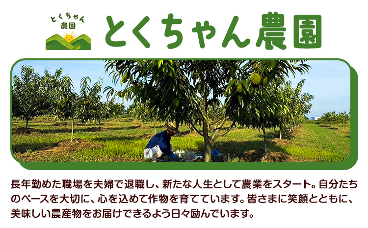栗 むき栗 200g とくちゃん農園《30日以内に出荷予定(土日祝除く)》熊本県 菊池市 栗 くり 熊本県産 秋の味覚 果物 くだもの フルーツ デザート ご飯 ---314-4301---