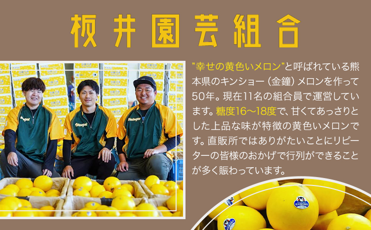 キンショーメロン 4kg(6～9玉) メロン《2026年4月上旬-7月上旬頃出荷》熊本県 菊池市 果物 フルーツ 金鐘 ノーネットメロン 黄色いメロン 菊池市産 熊本県産 九州産 送料無料---101-3001---