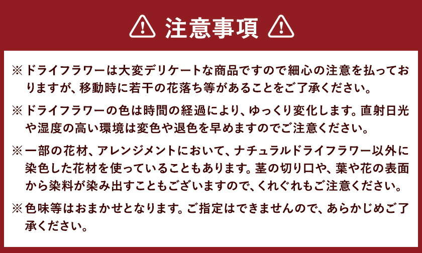 ドライフラワーリース Mサイズ ドライフラワー リース デザインおまかせ フラワーアレンジ インテリア 花 プレゼント ドライフラワー 送料無料《90日以内に出荷予定(土日祝除く)》---123-0966---