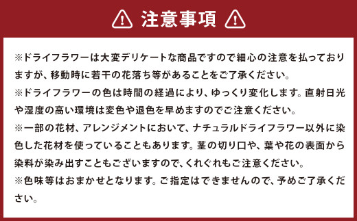観葉植物のようなアレンジ 1個 《90日以内に出荷予定(土日祝除く)》 ドライフラワー 植物 観葉植物 花 オシャレ インテリア---123-2256---