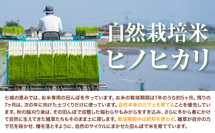 七城の恵み 詰め合わせ こだわりGreen 自然栽培米 ヒノヒカリ 2kg 肥後グリーン メロン 1玉 株式会社七城の恵み《5月上旬頃から出荷開始》熊本県 菊池市 米 メロン ひのひかり つるたファーム---126-2149---