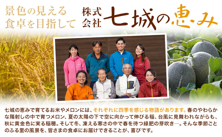 つるたファームの 朝採り 肥後グリーン メロン 1.8kg以上 2玉 株式会社七城の恵み《5月上旬頃から出荷開始》熊本県 菊池市 メロン つるたファーム---126-2513---