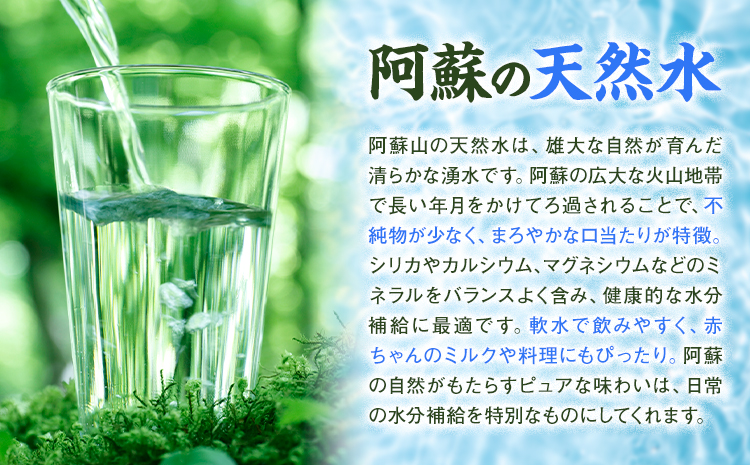 シリカ天然水 2L×10本 株式会社Foody's《30日以内に出荷予定(土日祝除く)》熊本県 菊池市 シリカ水 飲料水 ミネラルウォーター 水 軟水 鉱水 ペットボトル---159-1873---