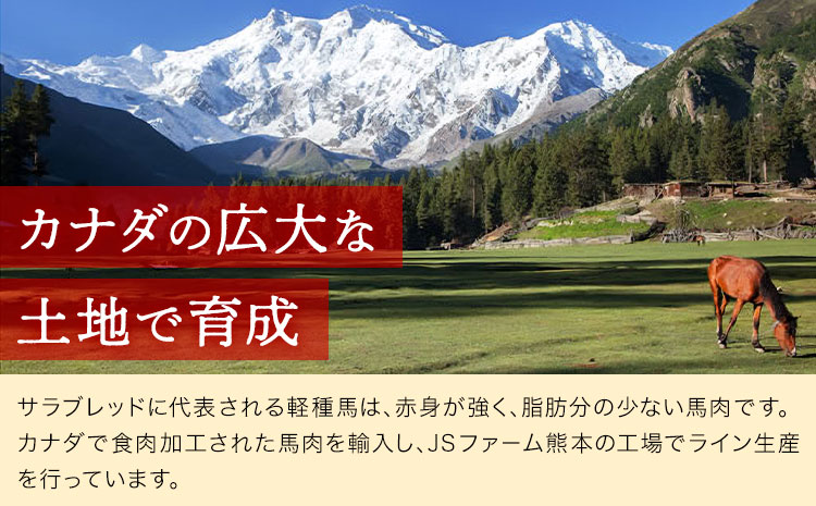 馬刺し赤身 計200g 50g×4パック 熊本直送 株式会社Foody’s《30日以内に出荷予定(土日祝除く)》熊本県 菊池市 馬刺し 赤身 馬肉 肉 お肉---159-4305---