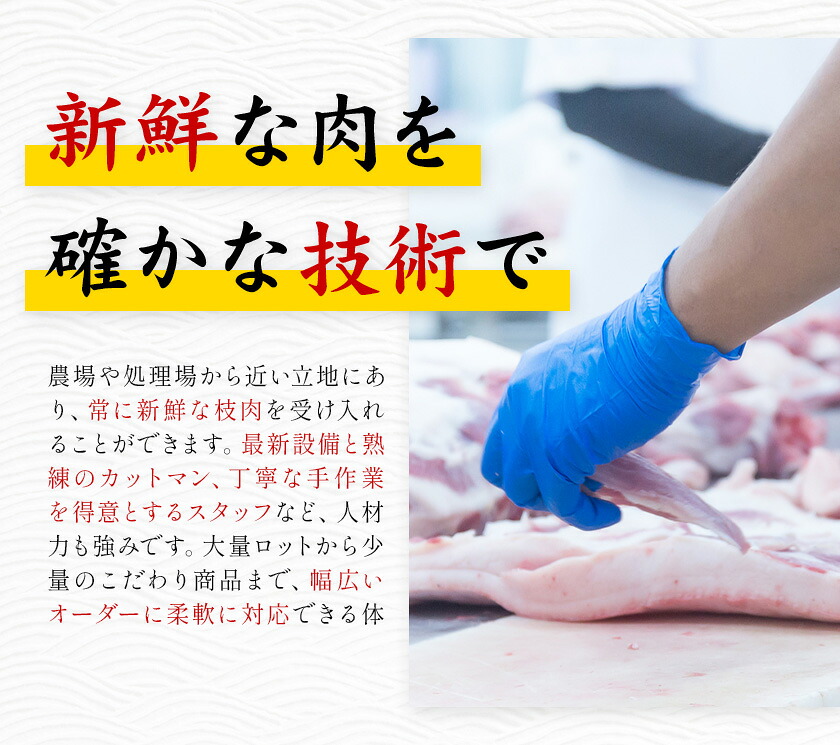 菊池やまあいの豚小間スライス 2kg 《90日以内に出荷予定》(土日祝除く)》1パック200g 豚肉 豚小間 スライス済み 小分け 熊本県産 九州産 国産 冷凍 送料無料---167-1902---