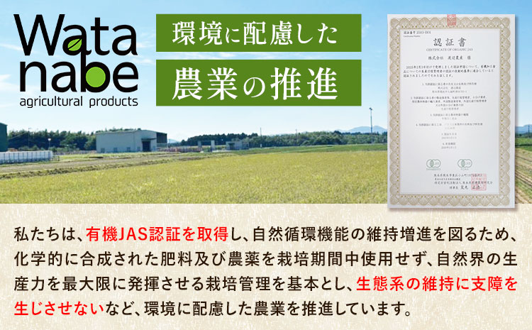 有機JAS もち麦 合計1kg 200g×5袋 渡辺農産 《90日以内に出荷予定(土日祝除く)》 熊本県 菊池市 もちむぎ ダイシモチ 国産 九州産 熊本県産 ---171-1916---