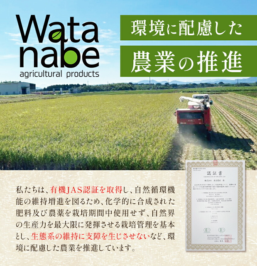 有機JAS小麦使用 強力粉 合計3kg 1kg×3袋 《30日以内に出荷予定(土日祝除く)》熊本県 菊池市 小麦粉 ミナミノカオリ パンづくり 粉類 国産 九州産 熊本県産 送料無料---171-1917---