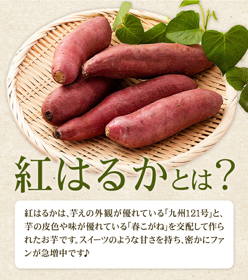 秀品 紅はるか 約10kg S～2L混合 株式会社Foody’s 《90日以内に発送予定（土日祝を除く）》熊本県 菊池市 さつまいも 芋 紅蜜芋 焼き芋 野菜 菊池市産 熊本県産 九州産 ---177-2264---