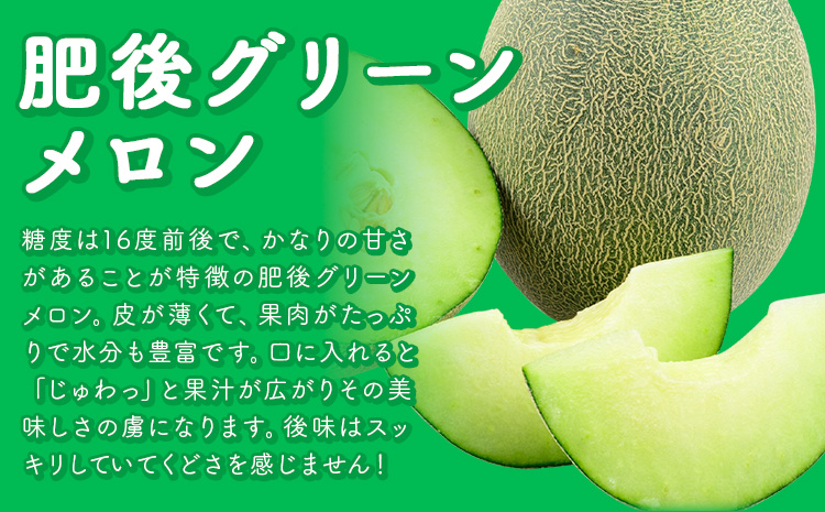 【先行予約】 メロン 肥後グリーンメロン 2玉 約 3kg ～ 4kg 株式会社Foody’s 食彩たかみ 《2026年5月下旬-7月下旬頃出荷》 熊本県 菊池市 フルーツ 果物 メロン 九州産 冷蔵 送料無料---177-2670---