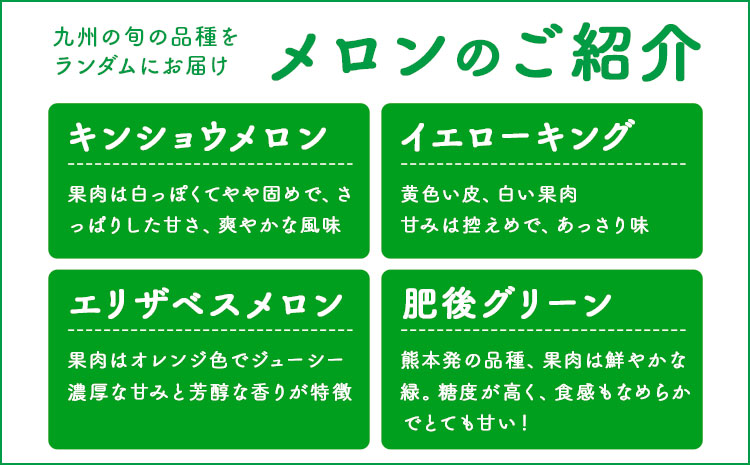 【先行予約】メロン 訳ありメロン 品種おまかせ 約4kg 2-7玉 ランダム 株式会社Foody’s 食彩たかみ《2026年5月下旬-7月下旬頃出荷》 おまかせ ご家庭用 メロン フルーツ 菊池市産 熊本県産 九州産 冷蔵 送料無料---177-2671---