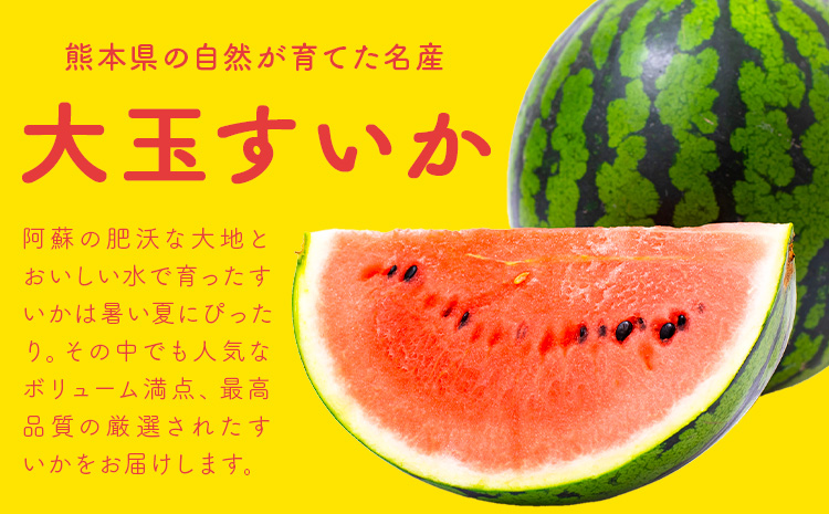 【先行予約】スイカ 大玉すいか 秀品 1玉 約 6kg ～ 9kg 株式会社Foody’s 食彩たかみ 《2026年5月下旬-7月下旬頃出荷》 熊本県 菊池市 フルーツ 果物 スイカ すいか 大玉 九州産 冷蔵 送料無料---177-2672---