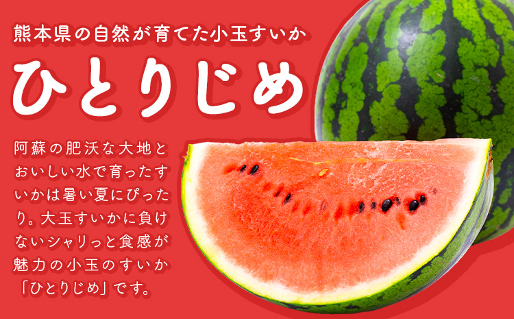 【先行予約】スイカ 小玉すいか 秀品 2玉 約 2kg ～ 3kg L ～ 3L 混合 株式会社Foody’s 食彩たかみ 《2026年5月下旬-7月下旬頃出荷》 熊本県 菊池市 フルーツ 果物 スイカ すいか 小玉 九州産 冷蔵 送料無料---177-2674---