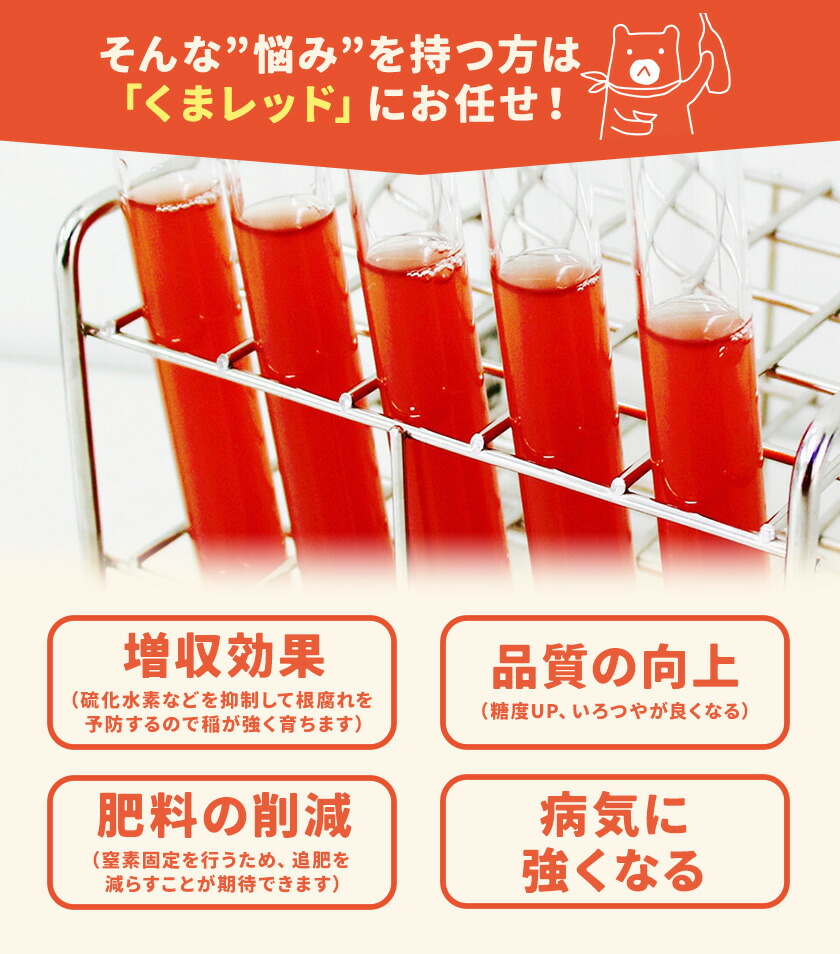 光合成細菌くまレッド 農業用 500cc×3個（培養済み）株式会社Ciamo 《90日以内に出荷予定(土日祝除く)》熊本県 菊池市 ガーデニング 農業用 観葉植物 家庭菜園---178-2189x1---