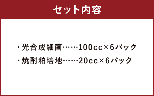 光合成細菌 ( 2L培養キット × 6セット )《90日以内に出荷予定(土日祝除く)》st-p---178-2190---