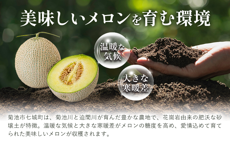【先行予約】メロン 肥後グリーンメロン 大 2L ～ 3L サイズ 2玉 約1.6～2kg×2 MOTOYAMA358FARM 《2026年4月中旬-6月中旬頃出荷》 熊本県 菊池市 メロン 果物 フルーツ 九州産 国産 送料無料---180-2217---