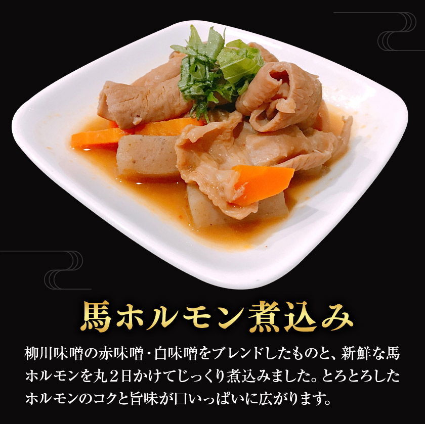 馬力セット 3種類 セット 計630g ホルモン煮込み しぐれ煮 スジ煮込み 株式会社有働精肉店《30日以内に出荷予定(土日祝除く)》熊本県 菊池市 おつまみ 惣菜 馬肉 ホルモン すじ肉 熊本県産 九州産 国産 冷凍 送料無料---181-2484---