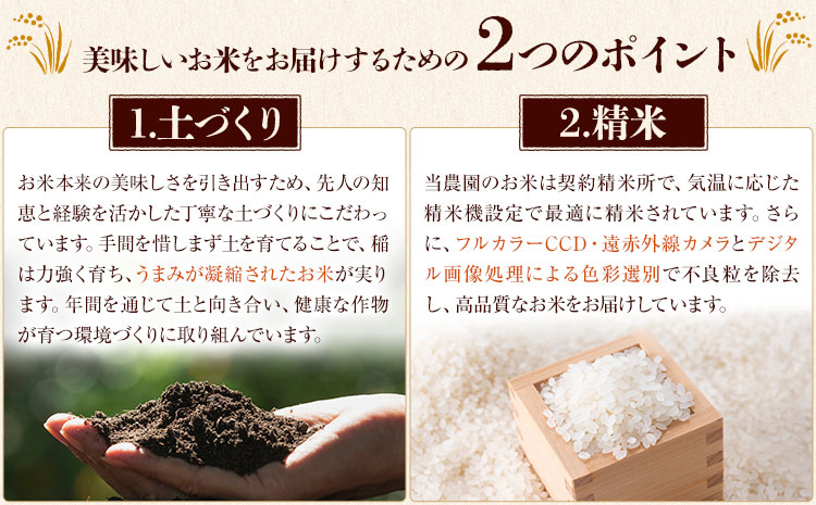 七城のお米 ぴかまる 5kg 真空パッケージ 白米 精米 令和7年産 堀田農場《30日以内に出荷予定(土日祝除く)》お米 熊本県 菊池市 熊本県産 九州産 送料無料---030-2625---