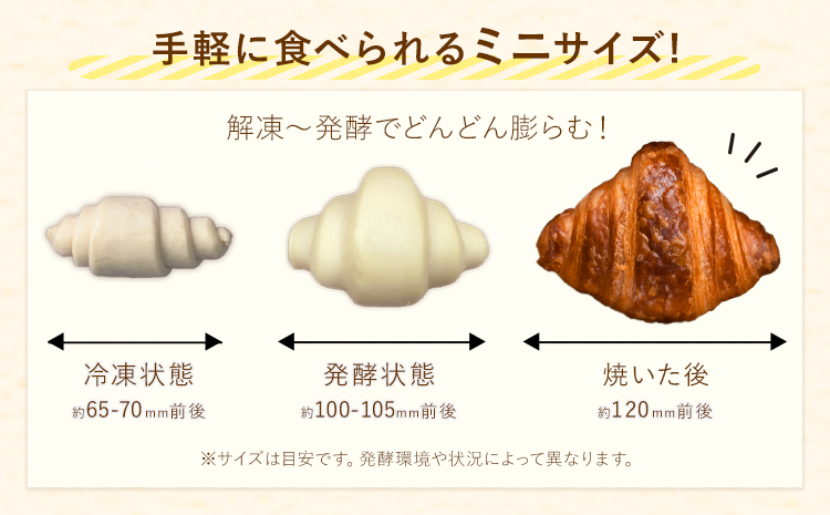 冷凍 ミニ クロワッサン 40個入り 《30日以内に出荷予定(土日祝除く)》送料無料 大容量 業務用 家庭用 熊本県産小麦100％使用 パン 冷凍パン ベーカリー 生地発酵 自宅で簡単焼きたて 朝食 スイーツ おやつ 保存食---kikuchi_lcl_109_40k---