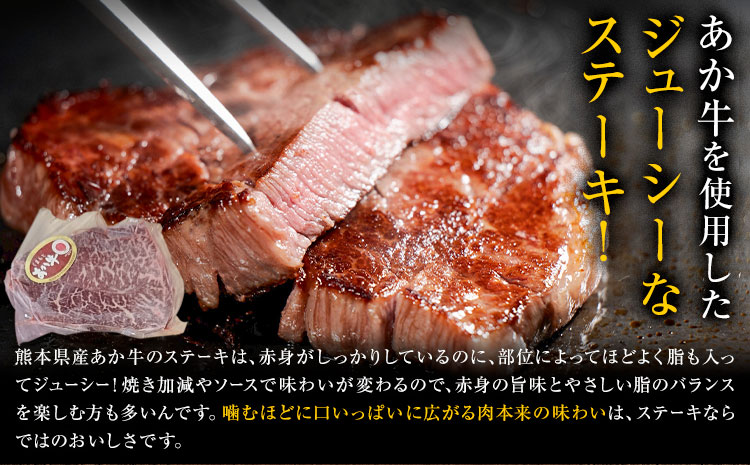 くまもとあか牛 ステーキ＆ハンバーグセット ステーキ2個 ハンバーグ4個 有限会社草佳苑《30日以内に出荷予定(土日祝除く)》熊本県 菊池市 肉 牛肉 お肉 和牛 あか牛 熊本県産 冷凍---311-0003---