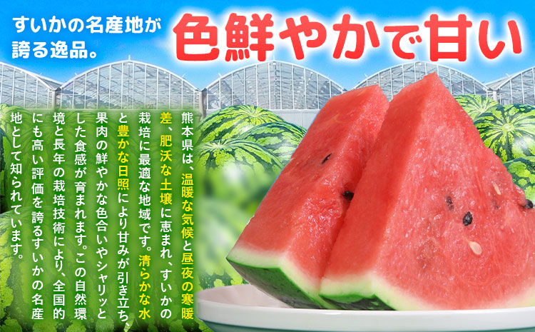 【先行予約】大玉すいか 1玉約5kg 日本フルーツ株式会社《5月上旬-６月下旬頃出荷》熊本県 菊池市 すいか スイカ 大玉 熊本県産---308-5011---