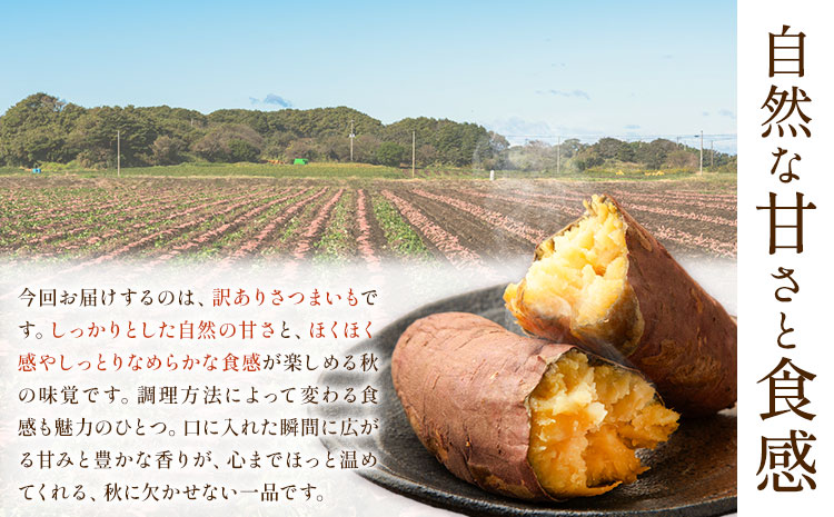 【先行予約】訳あり さつまいも 約5kg 日本フルーツ株式会社《2026年10月上旬-11月中旬頃出荷》熊本県 菊池市 さつまいも サツマイモ 訳あり 熊本県産---308-5005---