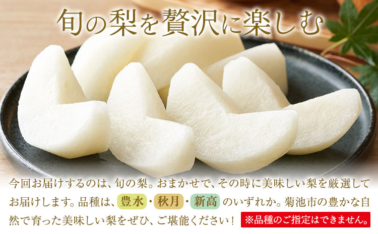 【先行予約】旬の梨 品種おまかせ 約5kg 日本フルーツ株式会社《2026年8月上旬-10月上旬頃出荷》熊本県 菊池市 梨 なし 豊水 秋月 新高 和梨 熊本県産---308-5003---