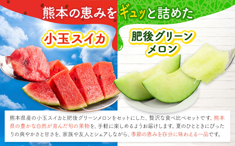 小玉スイカ&肥後グリーンメロン 食べ比べ 各1玉(計2玉 約3.5kg)  日本フルーツ株式会社 《5月中旬-7月末頃出荷》 熊本県 菊池市 西瓜 メロン 熊本県産---308-5008---