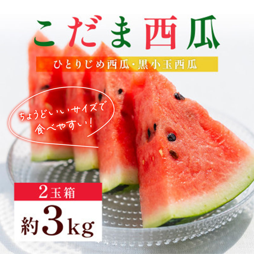 小玉スイカ 3L以上 2玉 計約3kg 株式会社エフビーネット《5月上旬-7月中旬頃出荷》熊本県 菊池市 小玉すいか すいか スイカ 西瓜 果物 フルーツ---034-5012---