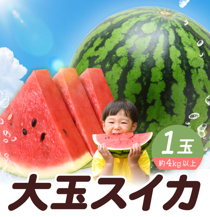 【先行予約】大玉すいか 1玉 約4kg 株式会社エフビーネット《5月上旬-7月中旬頃出荷》熊本県 菊池市 すいか スイカ 大玉 熊本県産 フルーツ---034-5011---