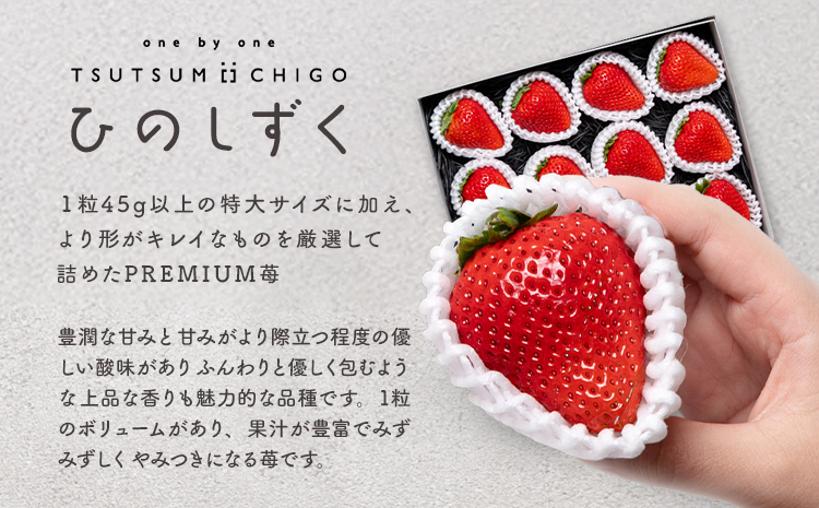 PREMIUMイチゴ 12玉 1玉45g以上 ひのしずく いちご イチゴ 苺《2026年3月発送予定》ヴァリアス株式会社 果物 くだもの フルーツ 希少 ギフト プレゼント 贈り物 国産 九州産 熊本県 菊池市 送料無料---028-0008---
