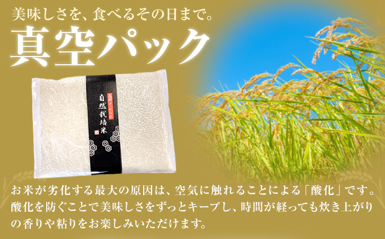 令和7年産 高野さんちの自然栽培米 白米 2kg 真空パック 株式会社有機農場《30日以内に出荷予定(土日祝除く)》熊本県 菊池市 米 お米 精米 ヒノヒカリ ひのひかり 自然栽培米 七城物語 熊本県産---045-3002---