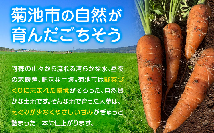 【先行予約】人参 約10kg (35-65本) 日本フルーツ株式会社《2026年4月上旬-6月上旬頃出荷》熊本県 菊池市 にんじん ニンジン 野菜 熊本県産---308-0012---