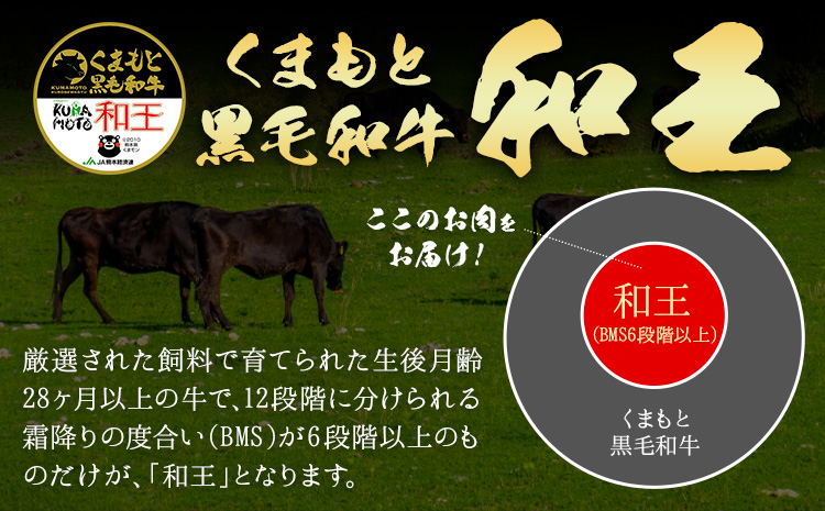 熊本県産A5等級和王 モモステーキ マル ラム 約300g 帝神志方ミート株式会社《90日以内に出荷予定(土日祝除く)》熊本県 菊池市 牛肉 肉 お肉 和牛 くまもと黒毛和牛 熊本県産 A5 和王 ももステーキ モモ肉 もも肉 ステーキ ---0149-3015---