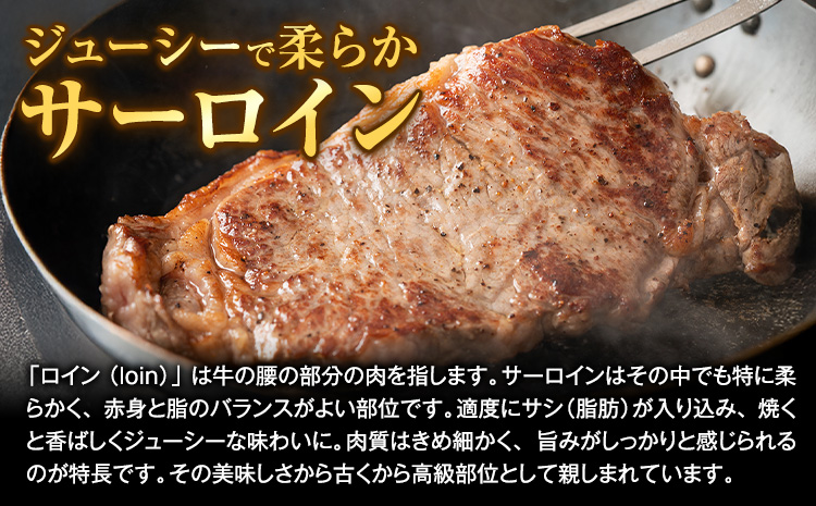 熊本県 国産牛 サーロインステーキ 300g 《30日以内に出荷予定(土日祝除く)》くまもと 熊本県 牛肉 冷凍 個別 取分け 小分け チャック付き バラ凍結 肉 お肉 ステーキ ステーキ用 ---300-4301---
