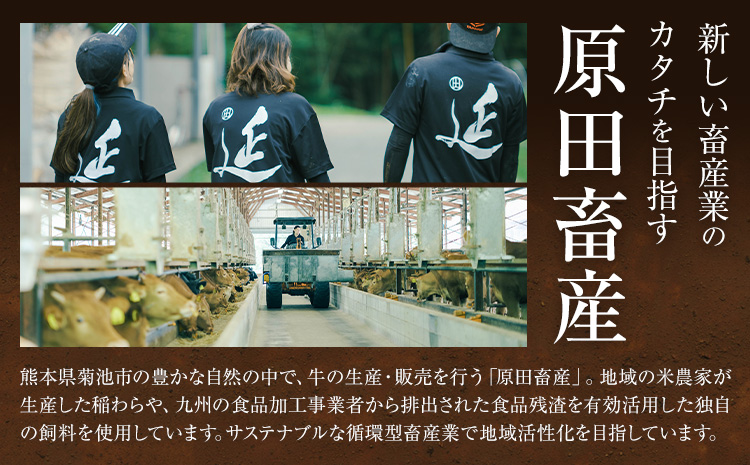 熊本県産 延寿牛 あか牛 ハンバーグ 約150g×10個 合計約1.5kg 株式会社原田畜産《30日以内に出荷予定(土日祝除く)》小分け 個包装 お肉 和牛 ハンバーグ 焼くだけ 熊本県産 九州産 国産 冷凍 送料無料---184-2651---