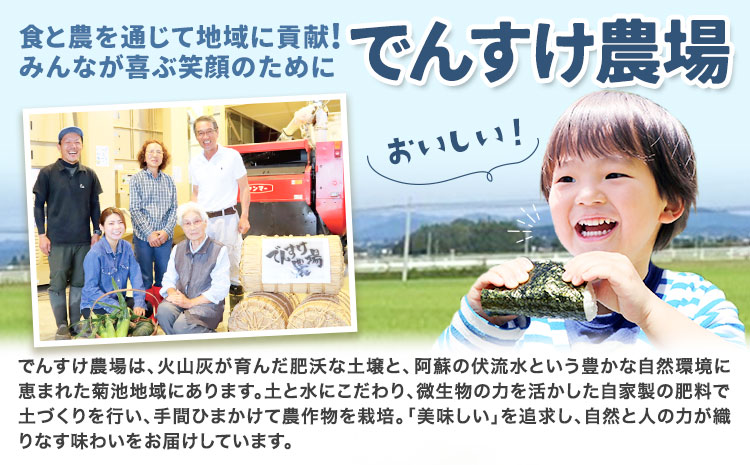 【6ヶ月定期便】令和7年産 精米 七城のこめ 15kg《お申込み翌月から出荷》熊本県 菊池市 米 白米 ヒノヒカリ でんすけ農場---309-4020---