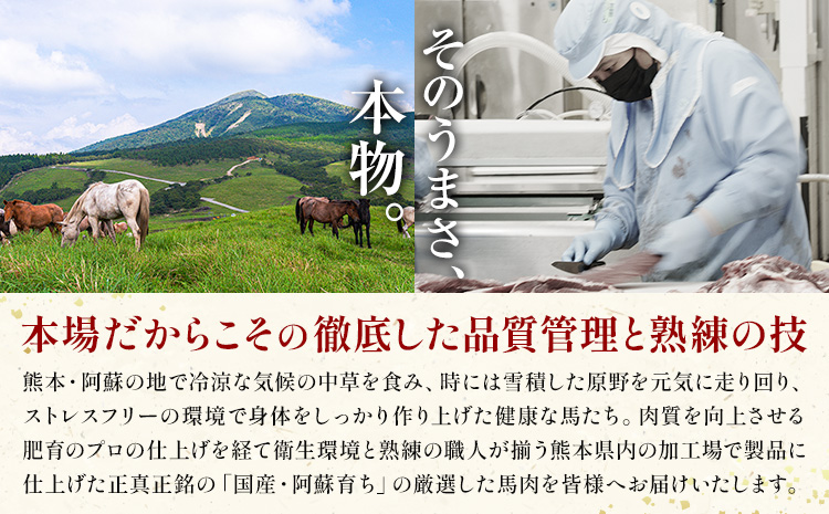 阿蘇馬 馬刺し3種 ( 赤身・サガリ・フタエゴ ) 計 300g 各 100g 専用醤油付き 150ml×1本 阿蘇牧場《60日以内に出荷予定(土日祝を除く)》熊本県 菊池市 馬刺し 馬肉 肉 赤身 サガリ フタエゴ---114-2474---